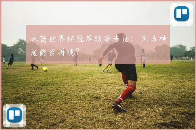冰岛世界杯冠军赔率专访：黑马神话能否再现？